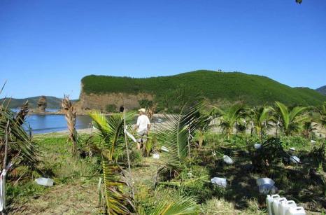 En pleine plantation